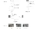 ZX101-4.webp