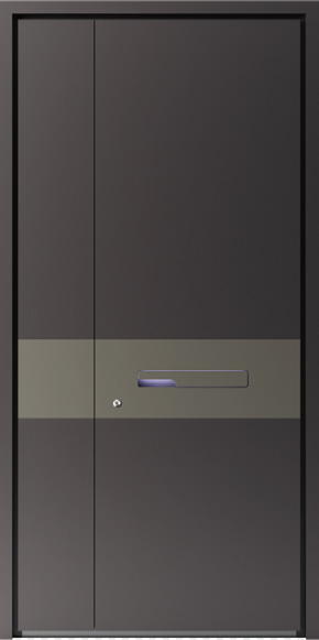 TATA Entrance Door